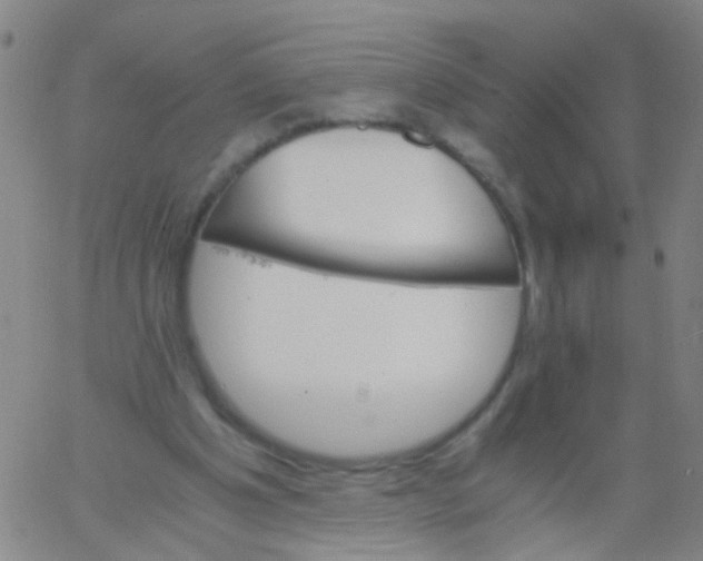 X0000061740201200512231508