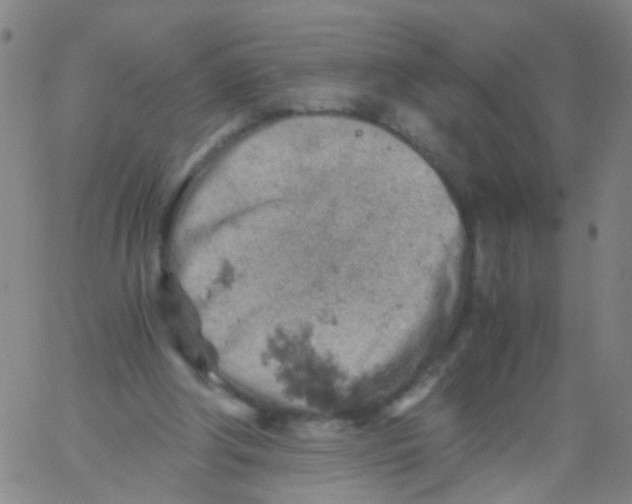 X0000061740202200512231508