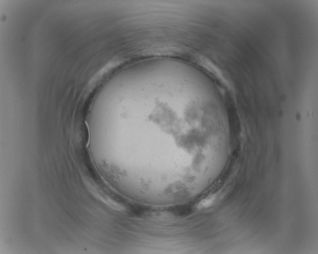 X0000061740203200512231508