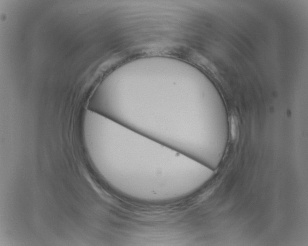 X0000061740205200512231508