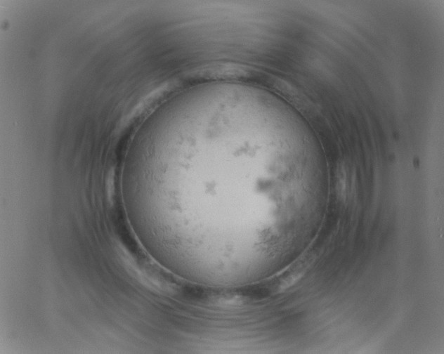 X0000061740206200512231508