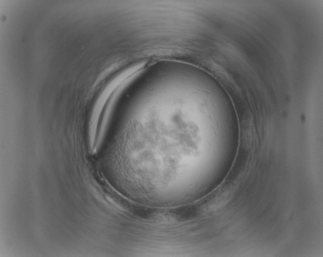 X0000061740207200512231508