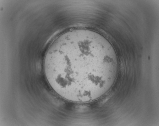 X0000061740208200512231508