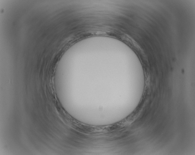 X0000061740209200512231508