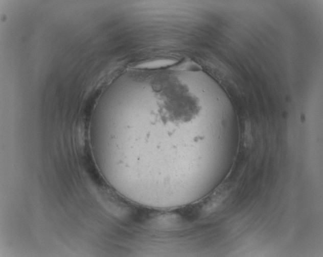 X0000061740210200512231508