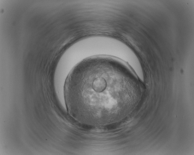 X0000061740211200512231508