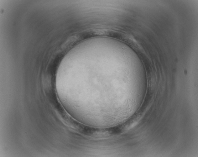 X0000061740213200512231508