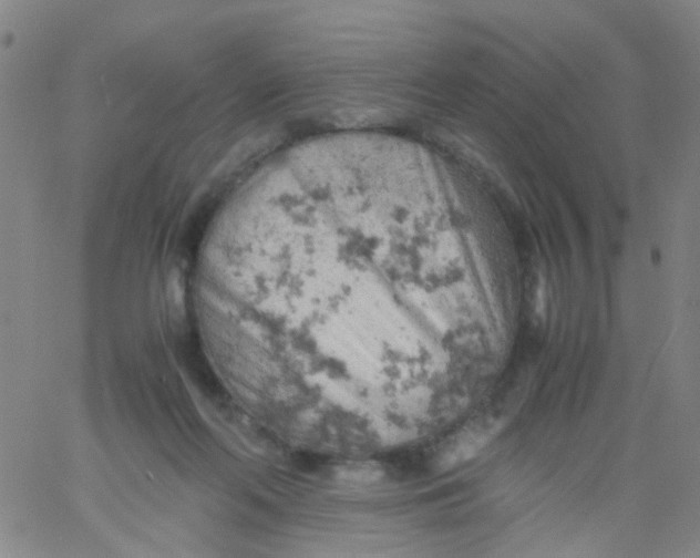 X0000061740214200512231508