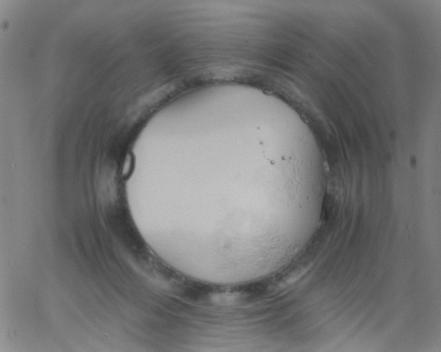 X0000061740216200512231508