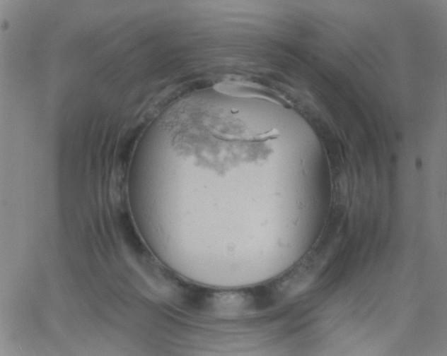 X0000061740218200512231508