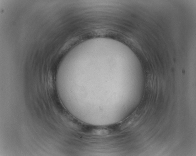 X0000061740220200512231508