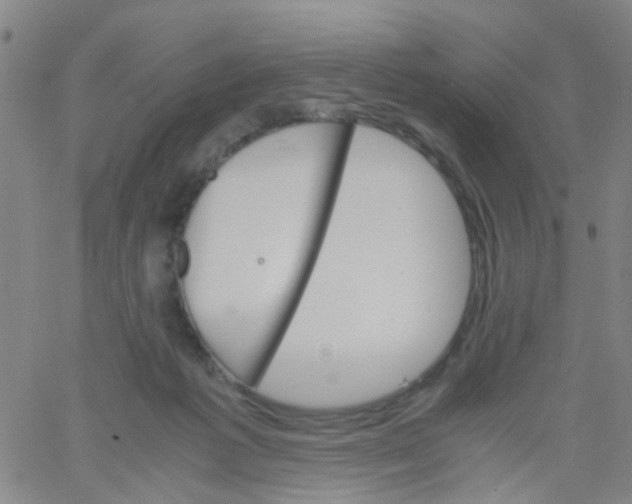 X0000061740221200512231508