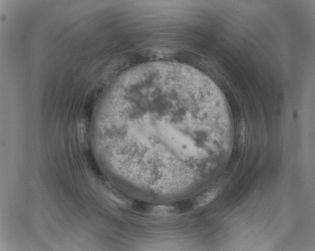 X0000061740222200512231508