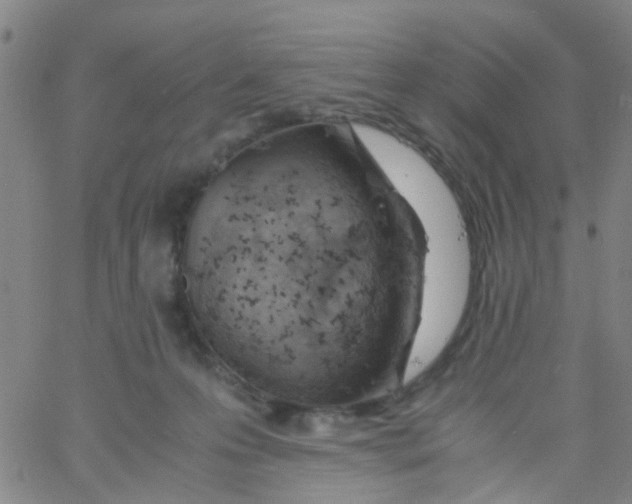 X0000061740223200512231508