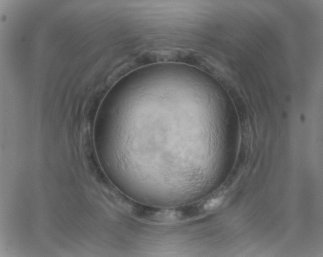 X0000061740225200512231508