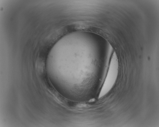 X0000061740227200512231508