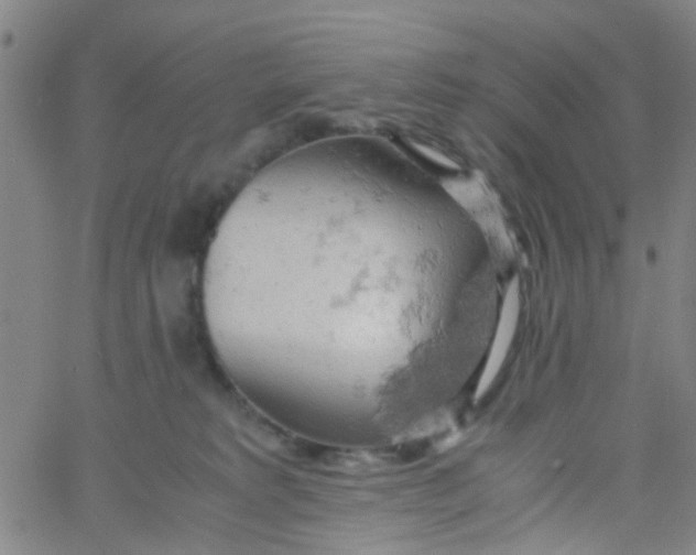 X0000061740229200512231508