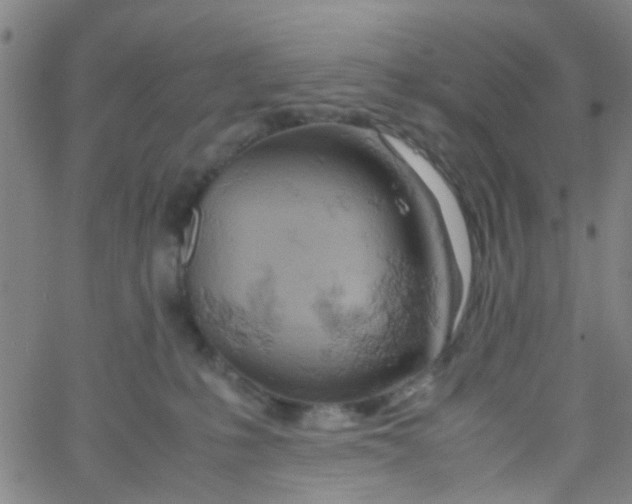 X0000061740231200512231508