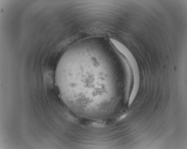 X0000061740232200512231508