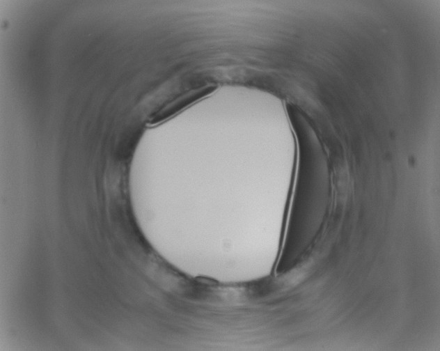 X0000061740233200512231508