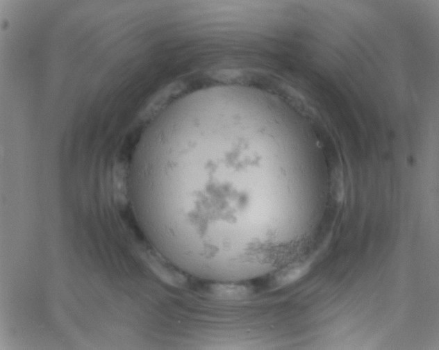 X0000061740234200512231508