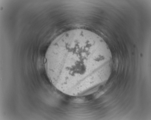 X0000061740236200512231508