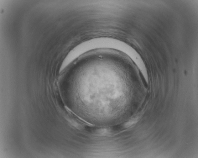 X0000061740237200512231508