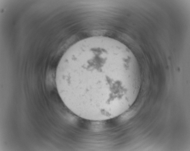 X0000061740240200512231508