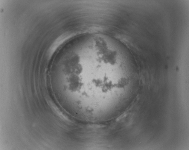 X0000061740242200512231507