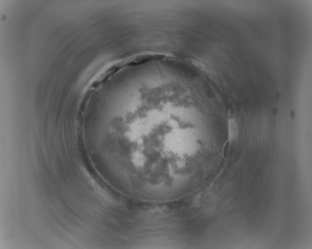 X0000061740243200512231507