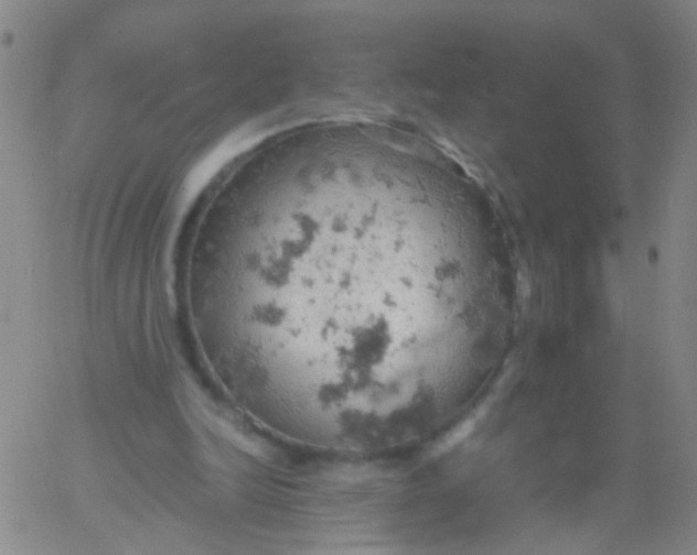 X0000061740246200512231507