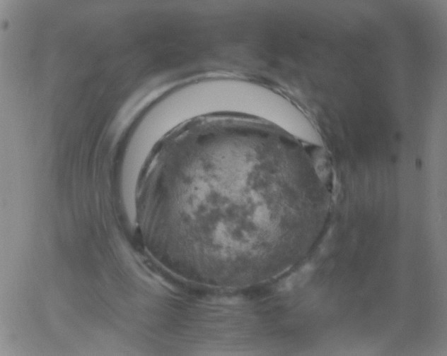 X0000061740247200512231507