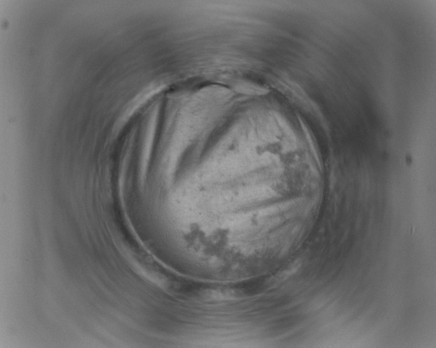 X0000061740250200512231507