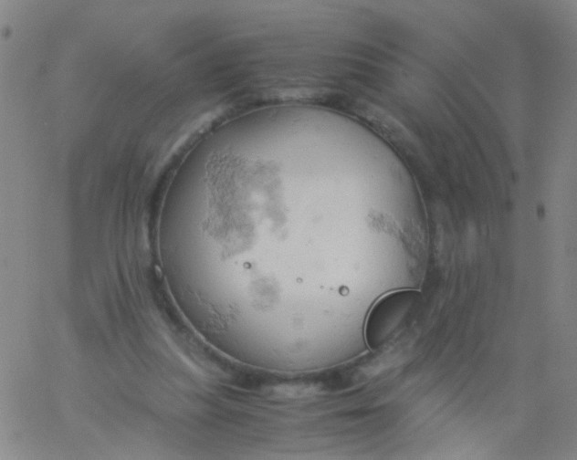 X0000061740251200512231507