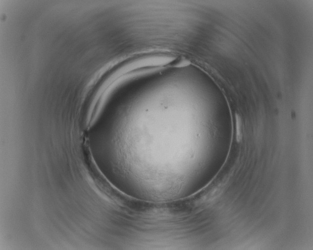 X0000061740252200512231507