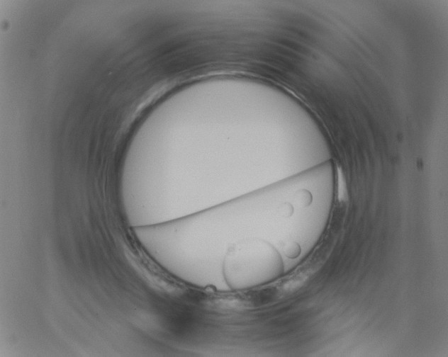 X0000061740253200512231507