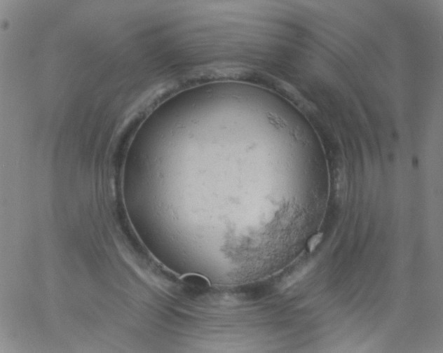 X0000061740254200512231507