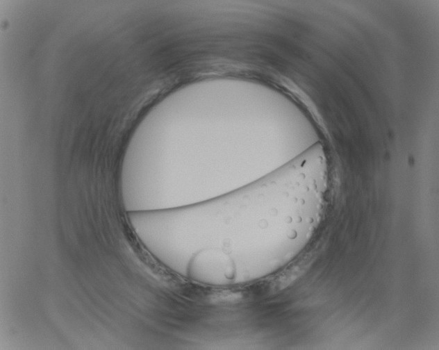 X0000061740257200512231507