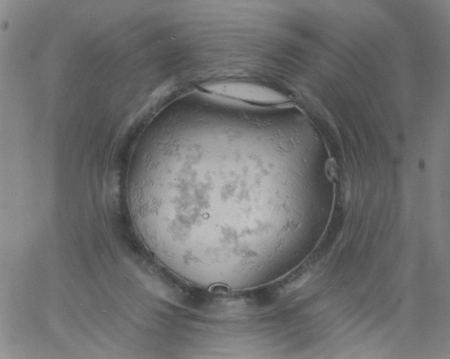 X0000061740260200512231507