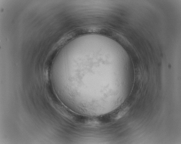 X0000061740262200512231507