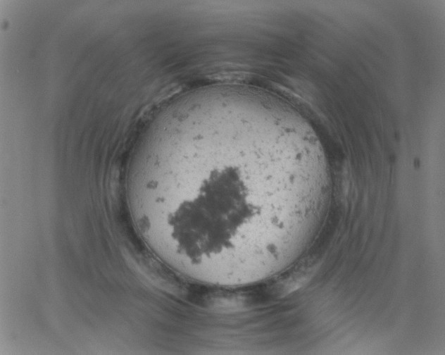 X0000061740263200512231507