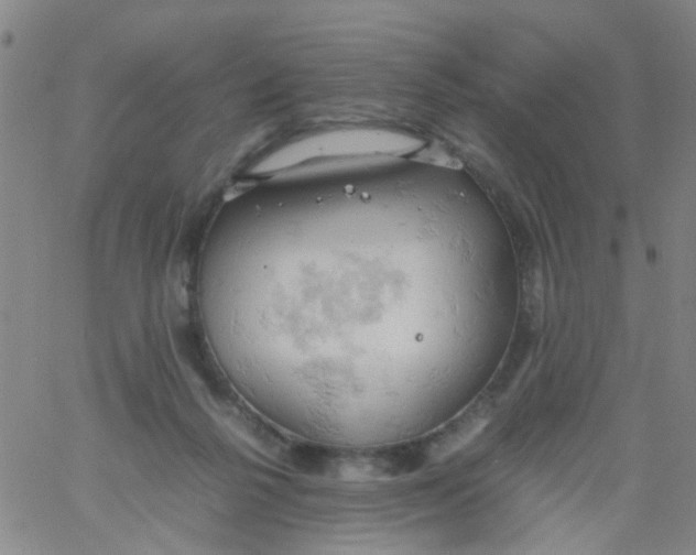 X0000061740264200512231507