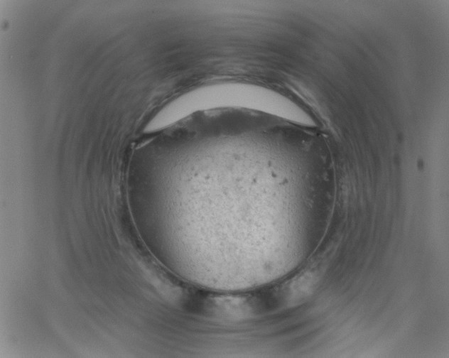 X0000061740265200512231507