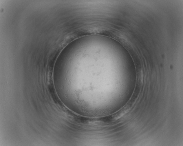 X0000061740268200512231507