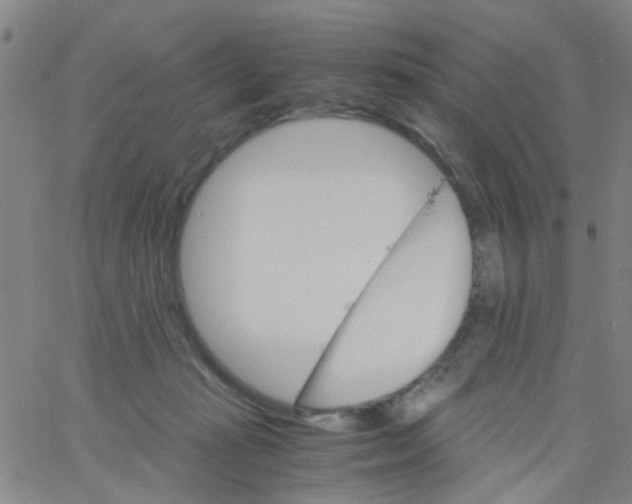 X0000061740269200512231508