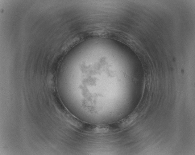 X0000061740270200512231508