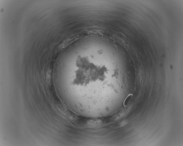 X0000061740271200512231508