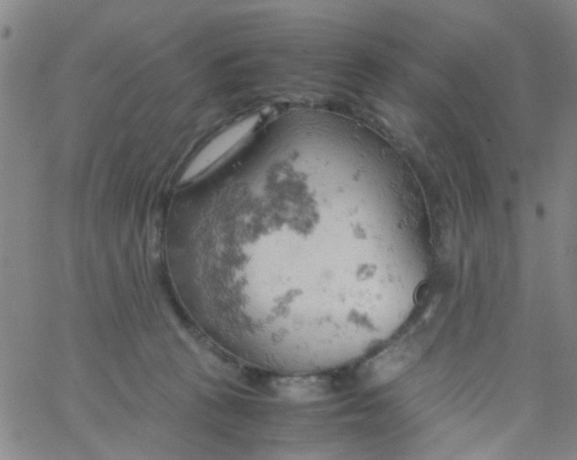 X0000061740273200512231508