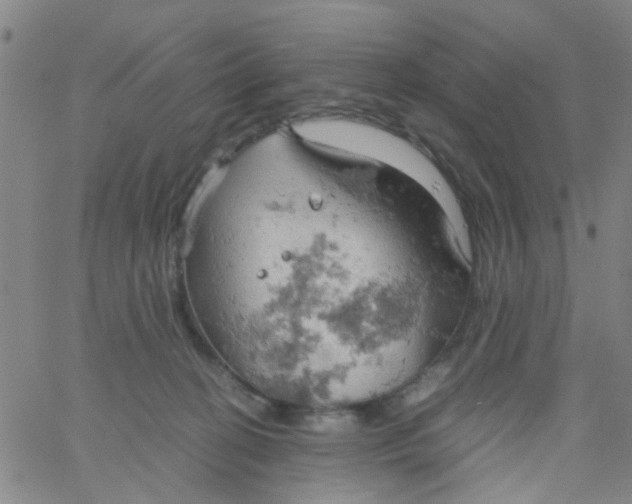 X0000061740274200512231508