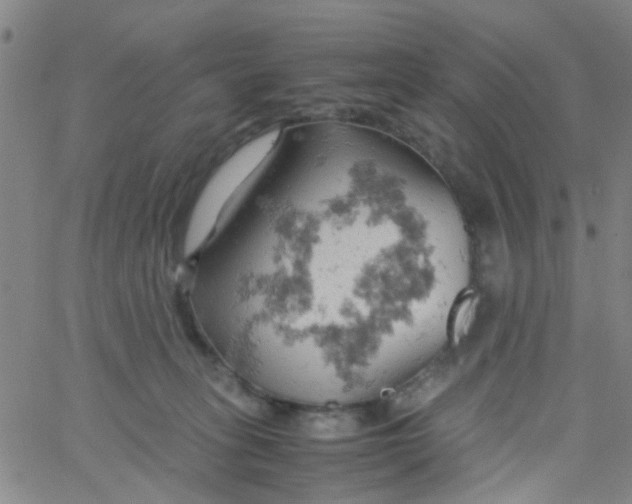 X0000061740275200512231508